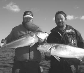 Shane and Phil with a couple of South Coast kingfish. At around 8kg, they certainly know how to pull on jig tackle. These fish were destined for the dinner table.